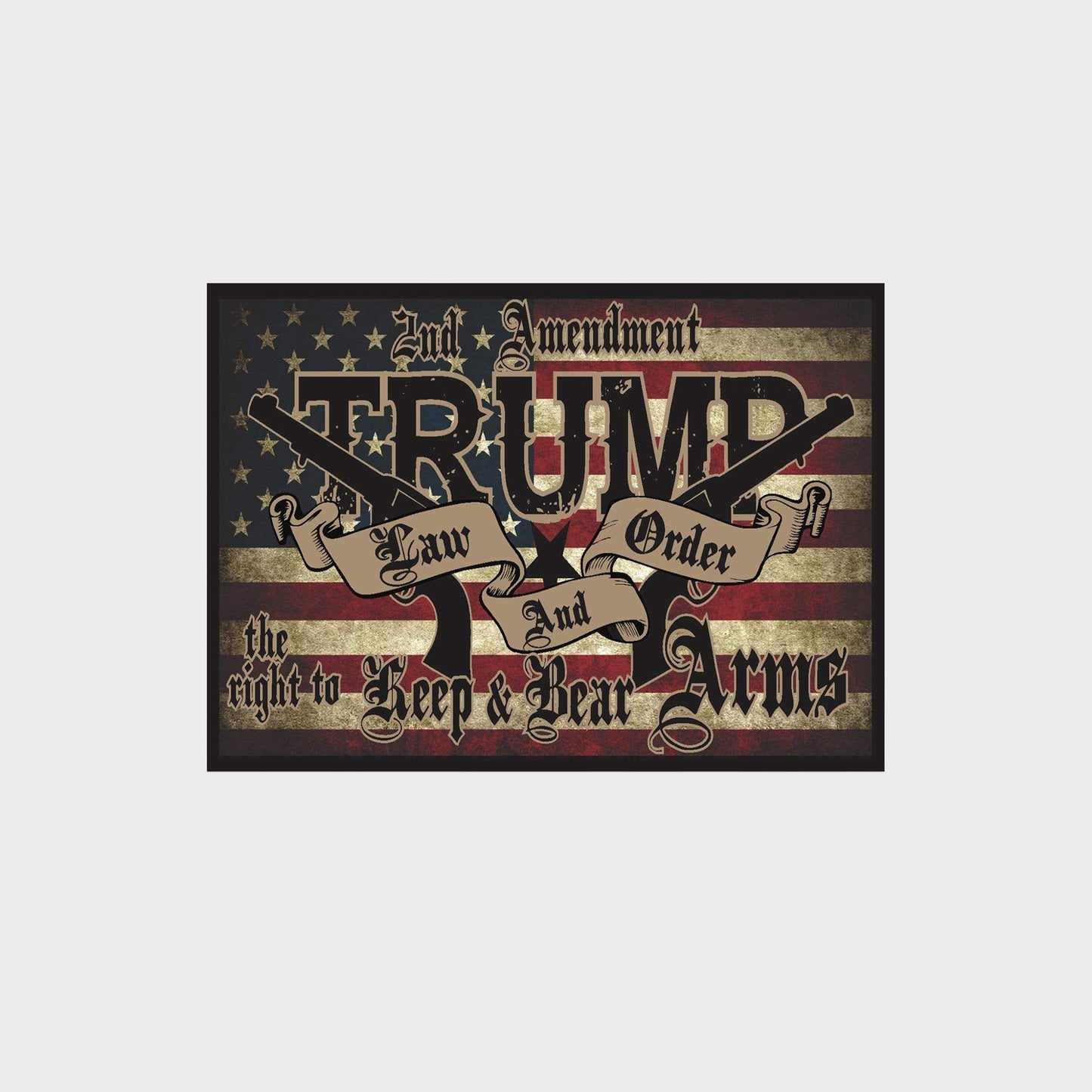 Trump Law & Order 2nd Amendment 2024 President Poster