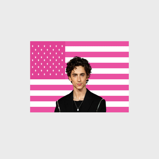 Timothee Chalamet Poster with pink American flag