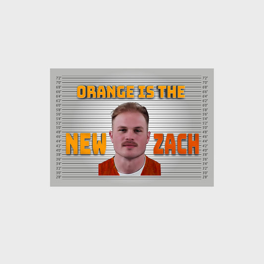 Zach Bryan Poster