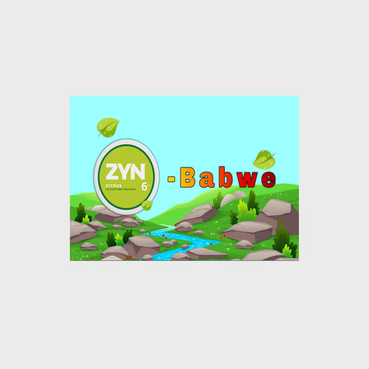 Funny Zyn poster