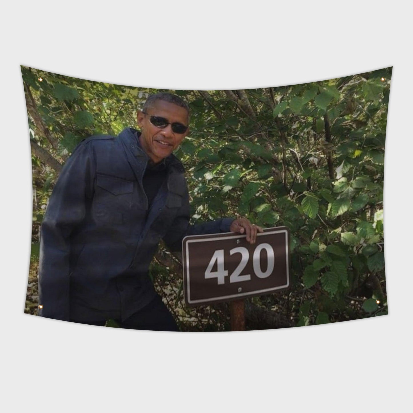 Obama in shades 420 Flag