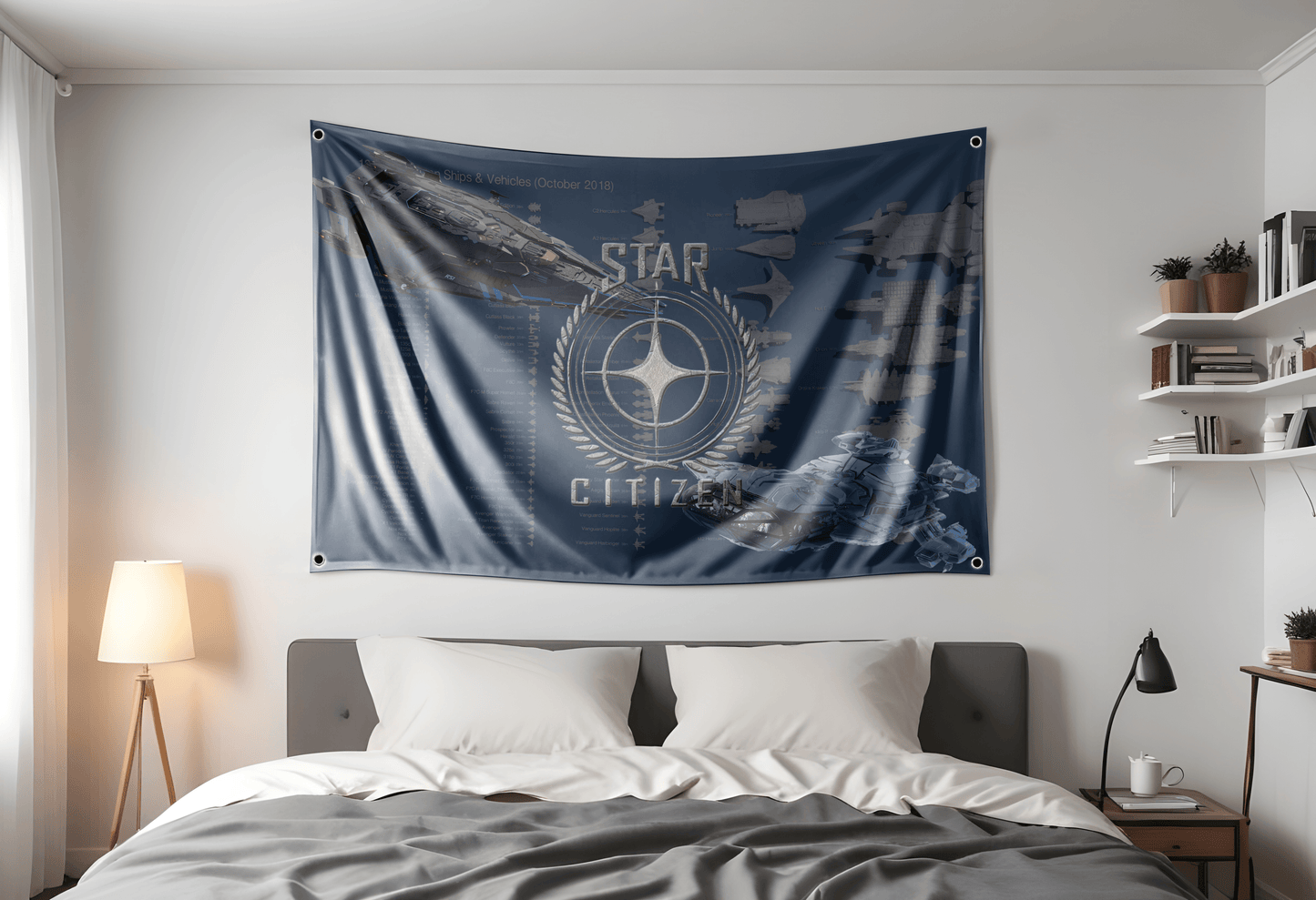 Star Citizen Flag Hung Up in A Dorm Room